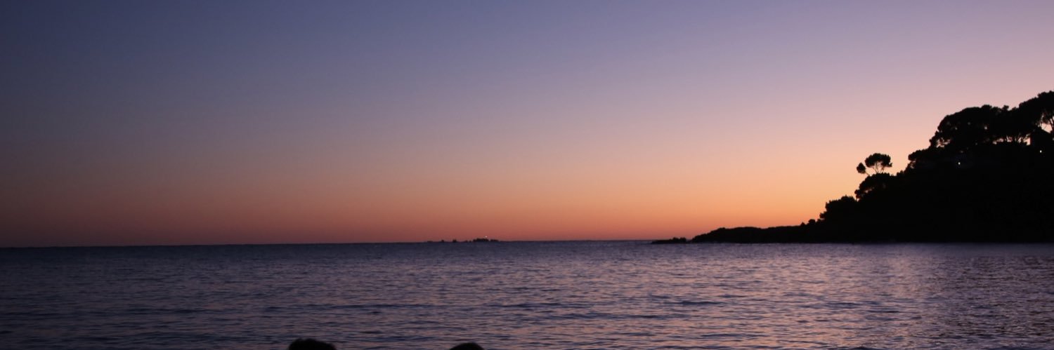 Susi Jaroljmek 🇵🇸💛💙 banner