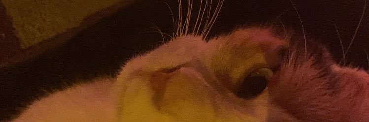 ytraap's profile banner image
