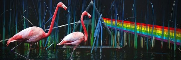RickyKardjono Profile Banner