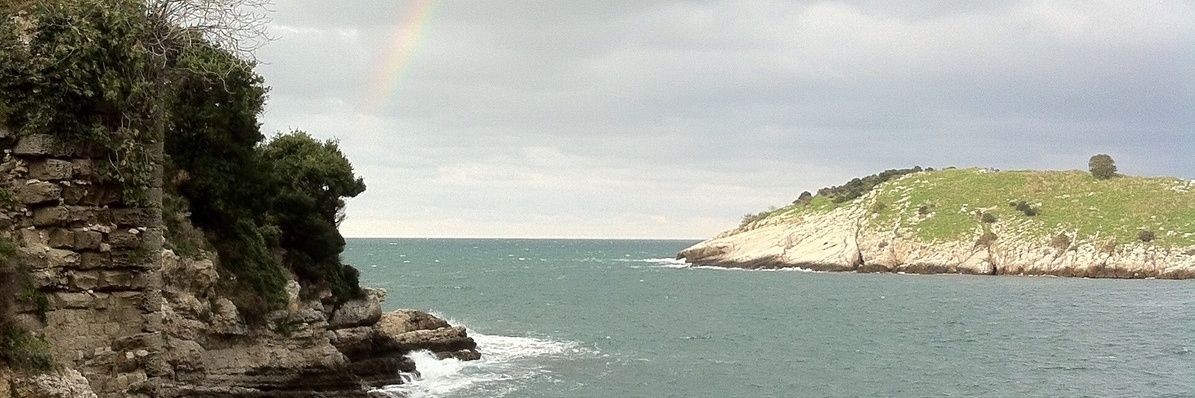 sedakskin's profile banner image