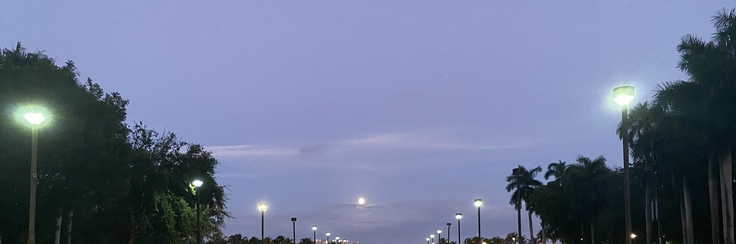 roshnebh's profile banner image