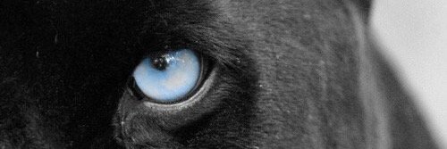 ezafrani's profile banner image