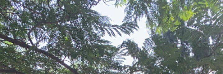 dannah110's profile banner image
