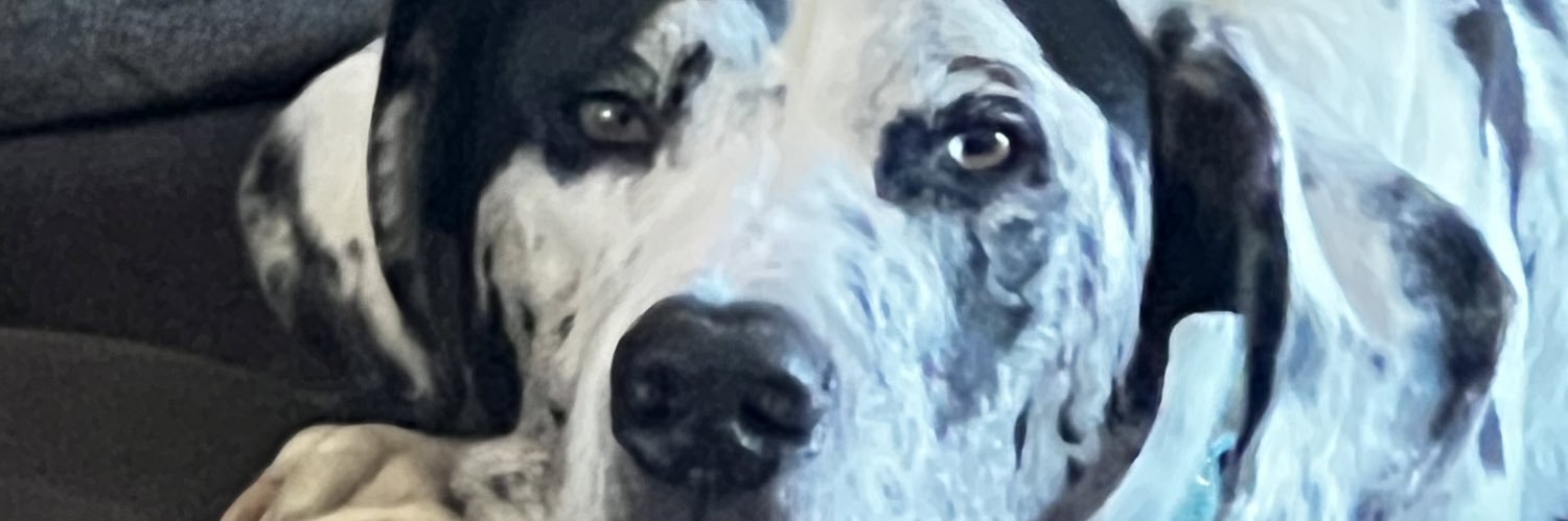 Tonto Goldstein. Call me Bubba. banner