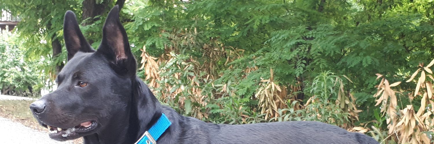DdwraDwra's profile banner image