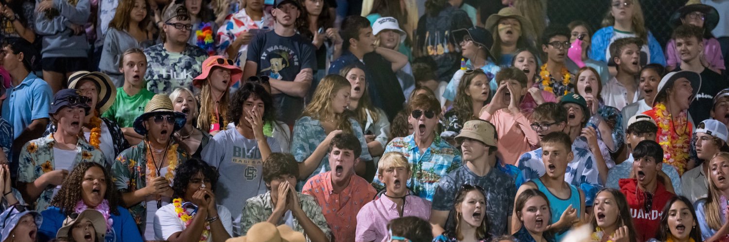 Bison Barstool banner