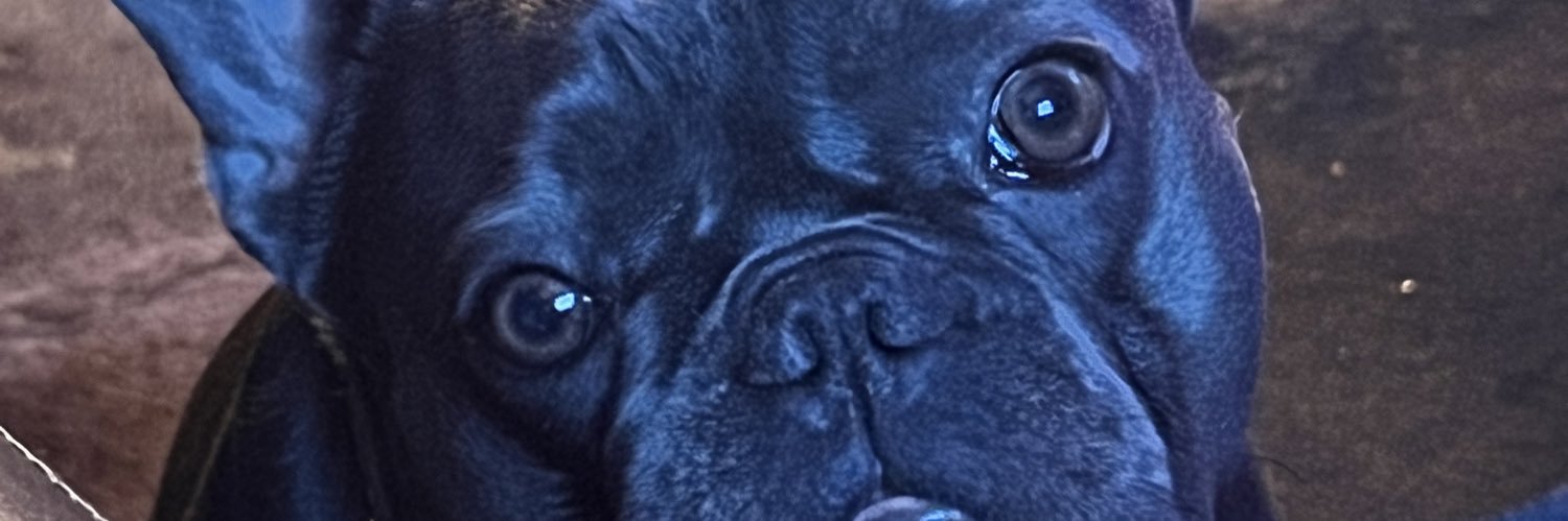 Geestar86's profile banner image