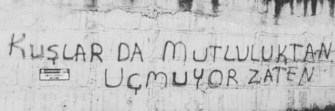 Banu Tuna banner