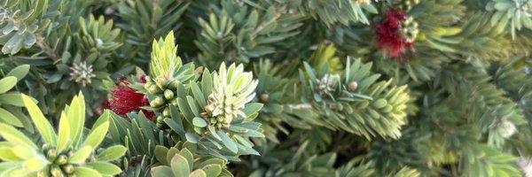 HansonApril Profile Banner