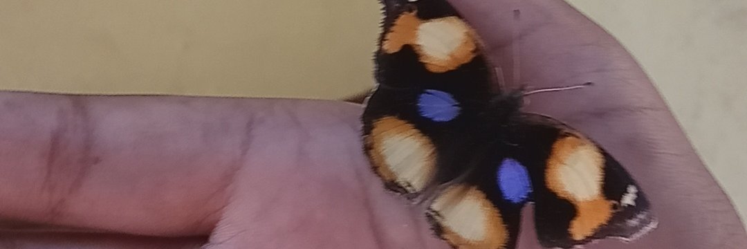 zaaahma's profile banner image
