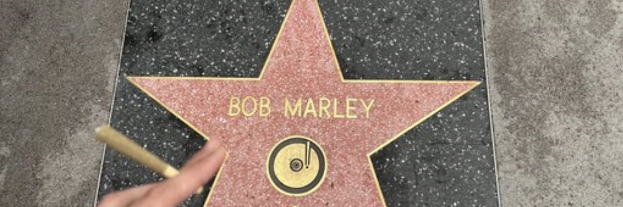 _DiMarley's profile banner image