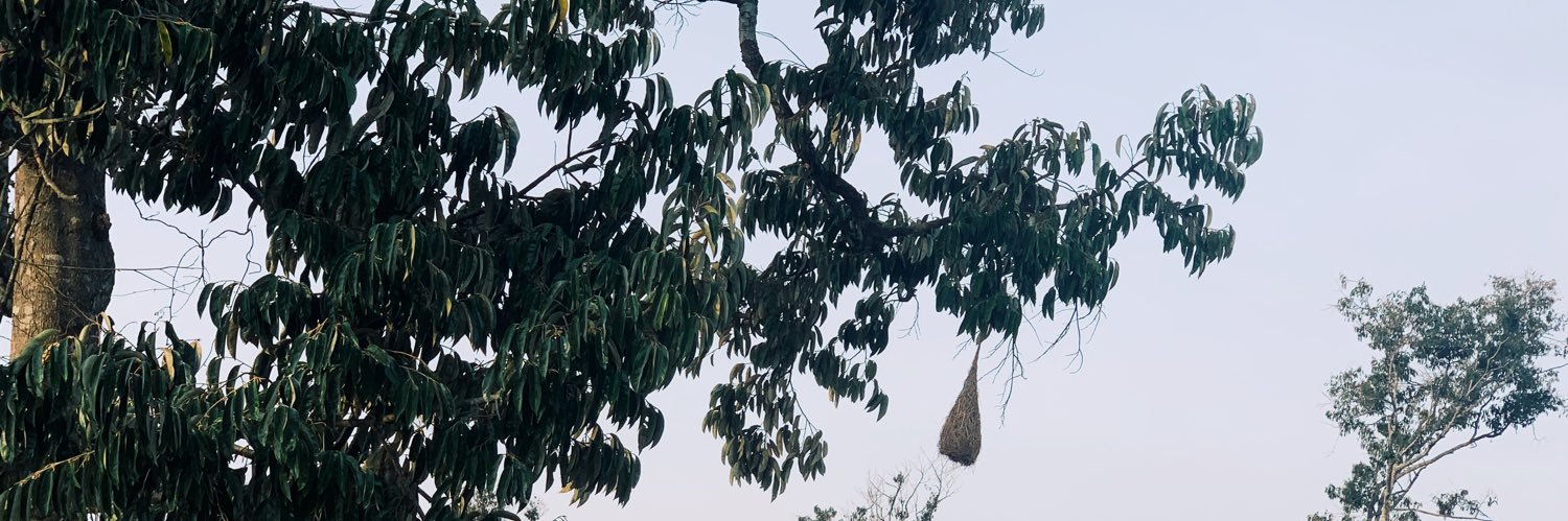 MohdAzmdn's profile banner image