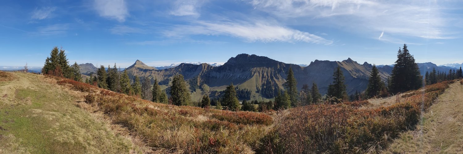 Xavier Studer banner