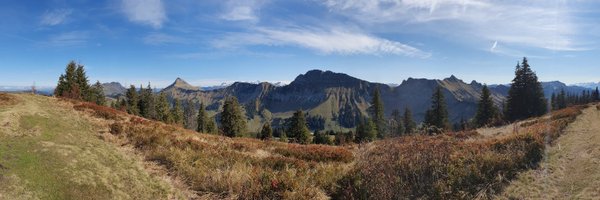 xavierstuder Profile Banner