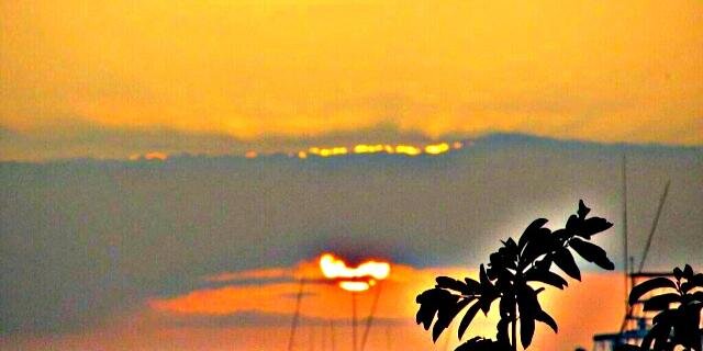 MariaDaniela6's profile banner image