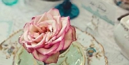 Tanechka_Fe's profile banner image