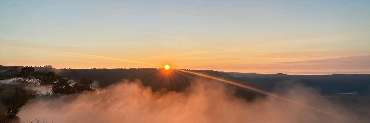 Thomas Michael banner