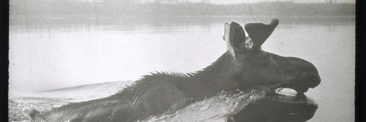 moore144's profile banner image