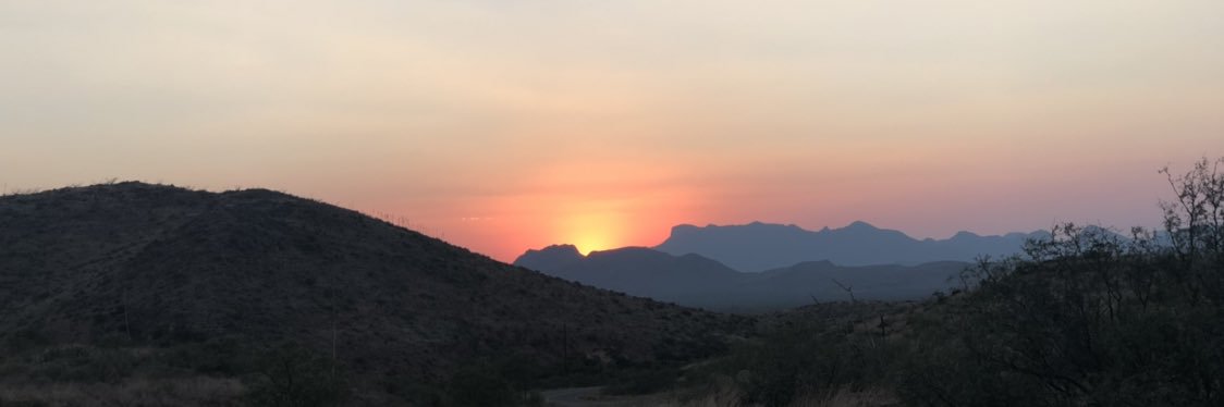 janemarieshea's profile banner image