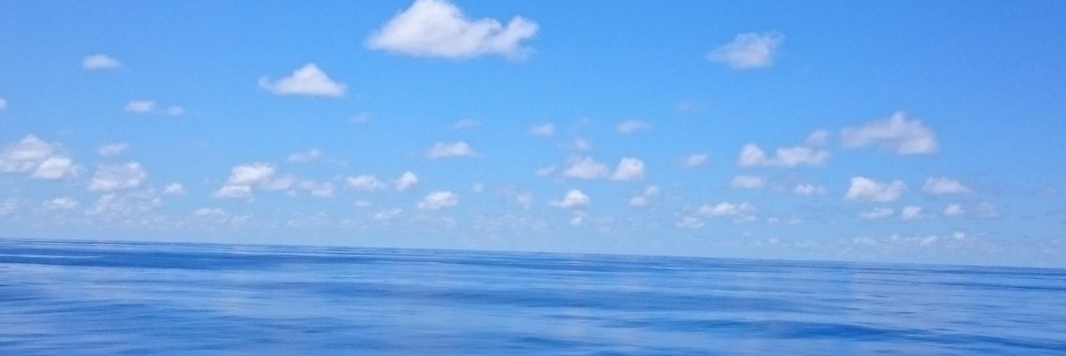 Hi09Tn's profile banner image