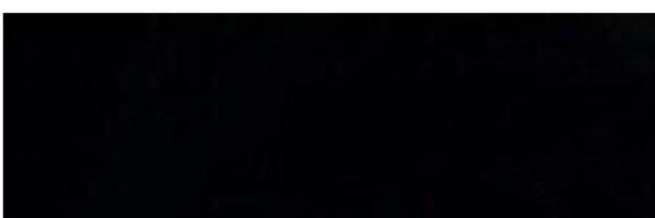 vivodithevamps Profile Banner