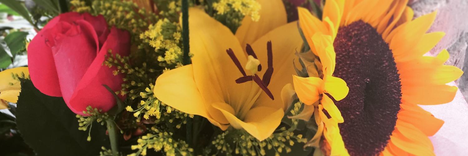 veroxss's profile banner image