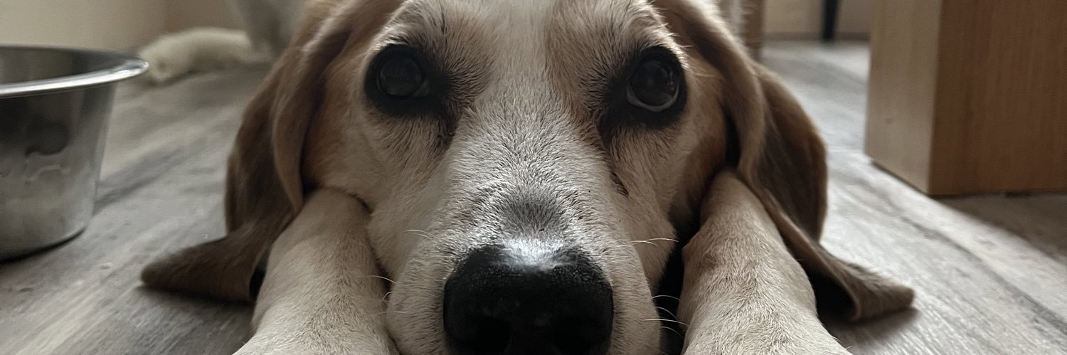 Stuart Simpson banner