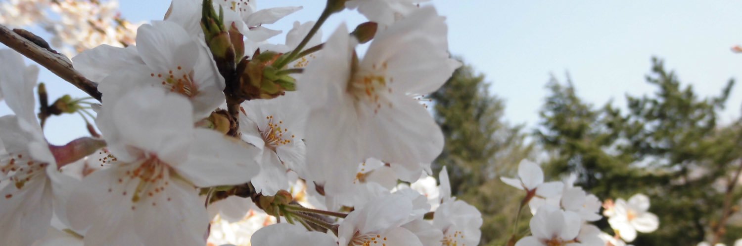 EAST_table's profile banner image