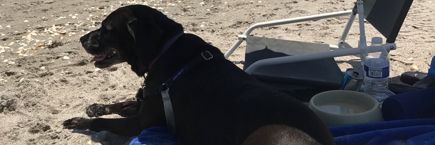wissa's profile banner image