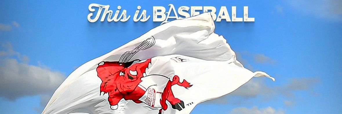 Austin in Ozark banner