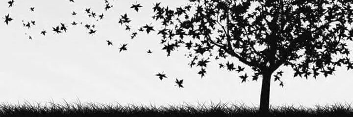 n_gunes06's profile banner image