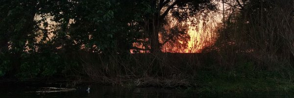 JasonCarpentier Profile Banner