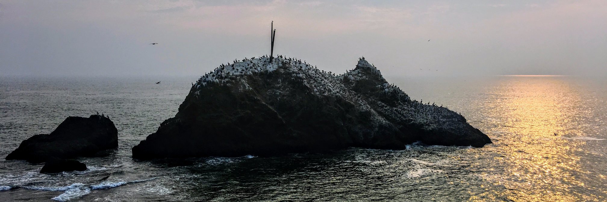 Sherali👩🏻‍💻 banner