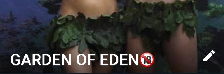 Tiller2021's profile banner image