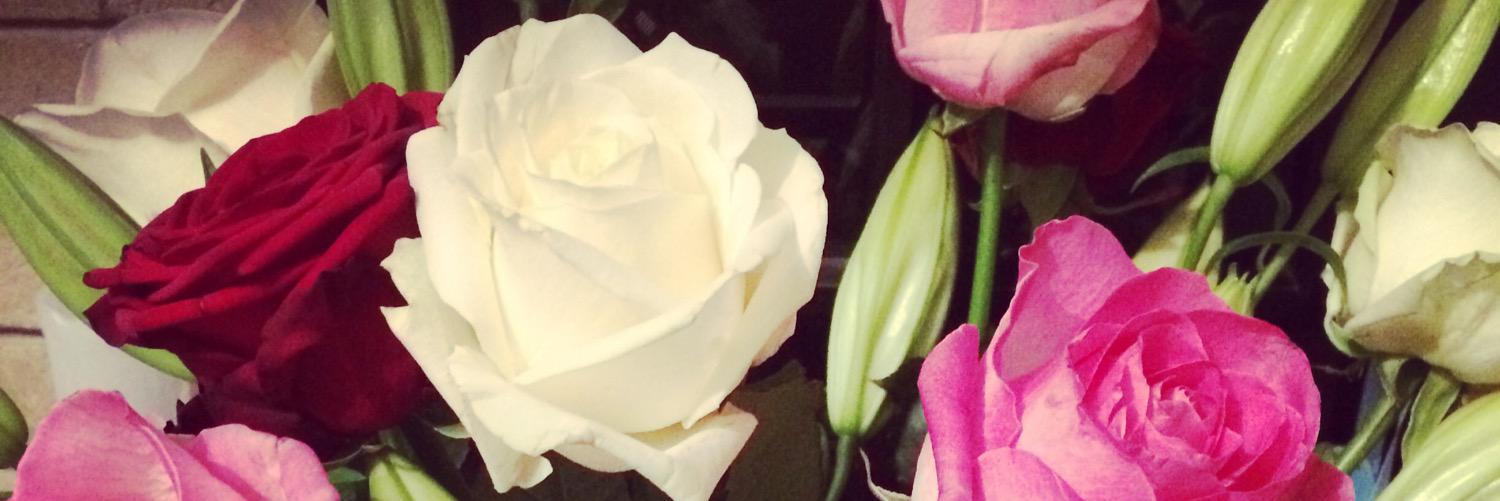 MissRReece's profile banner image