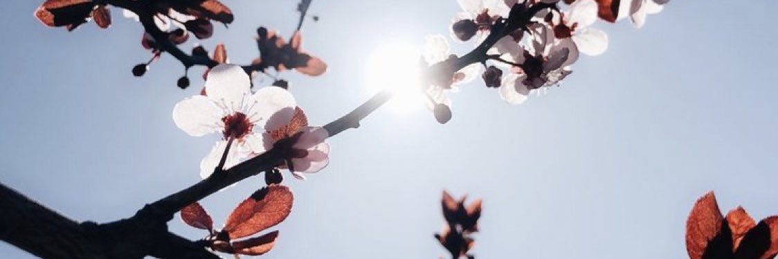 b_nikkkki's profile banner image