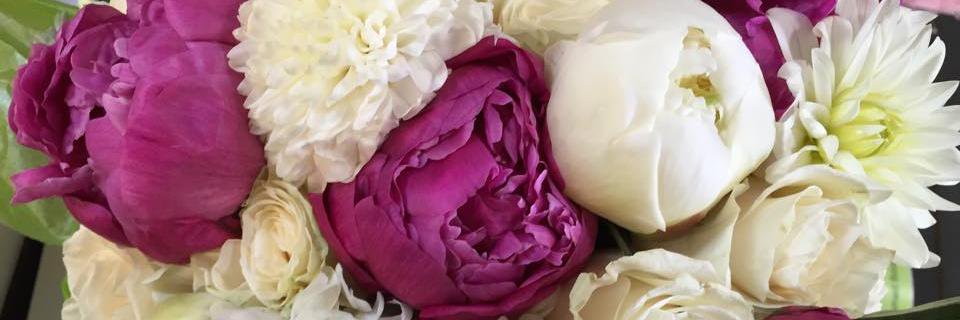 hamiltonsblooms's profile banner image