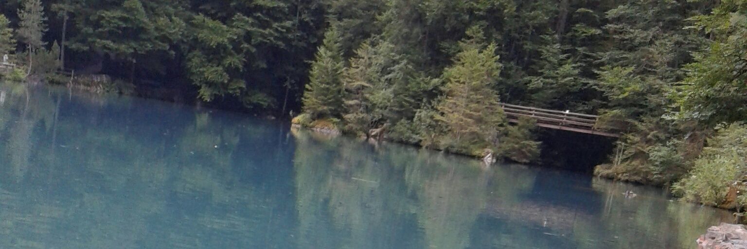 Monamud's profile banner image