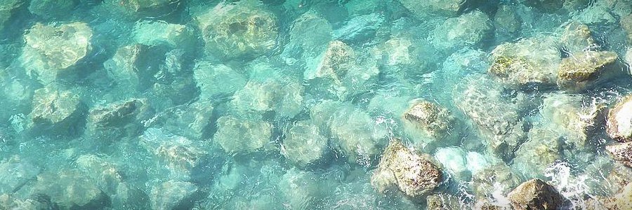 Belinda Gonzalez banner