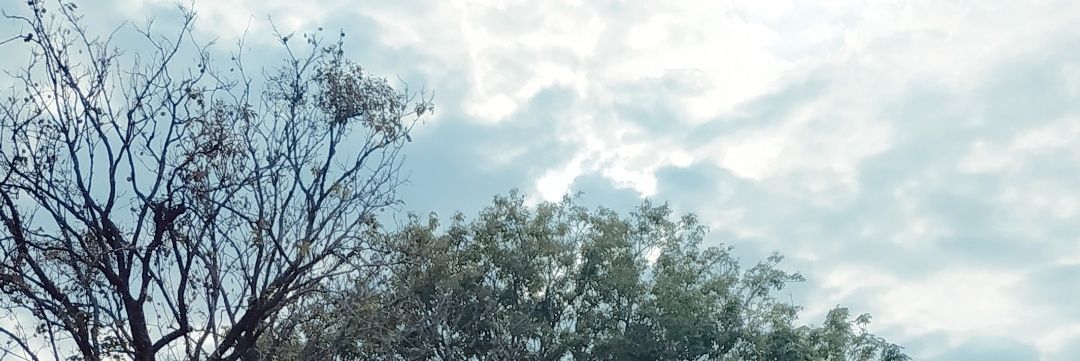 crabbiest banner