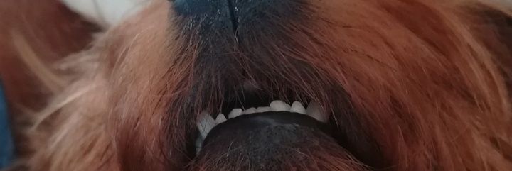 Raquel12_99's profile banner image