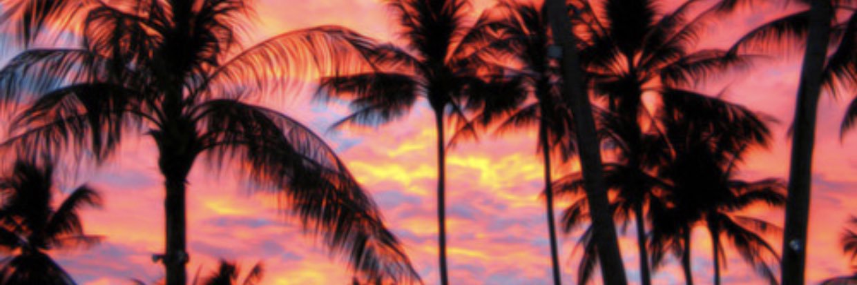 nicoleeereid's profile banner image