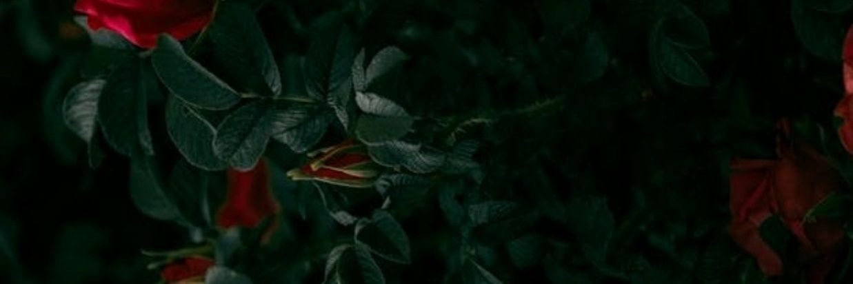 inkyasaur's profile banner image