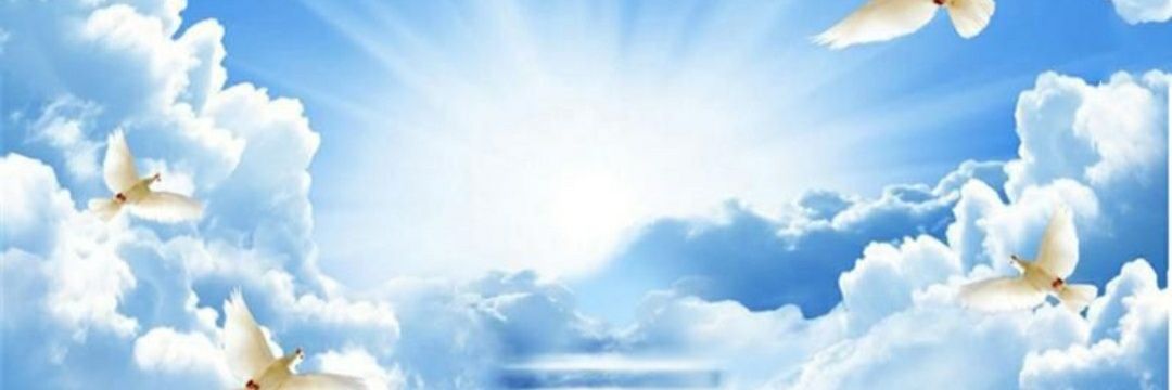 milka5004's profile banner image