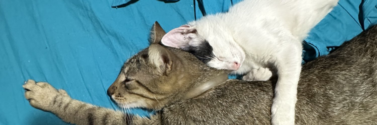 TomasCollar's profile banner image
