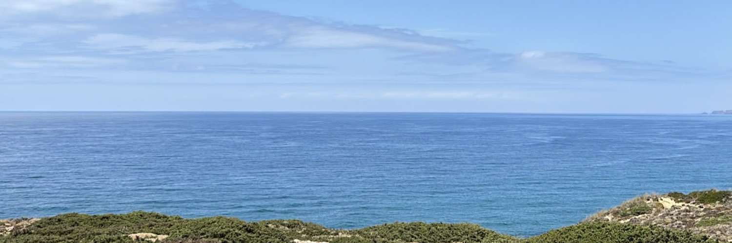 BertaRmrGd's profile banner image