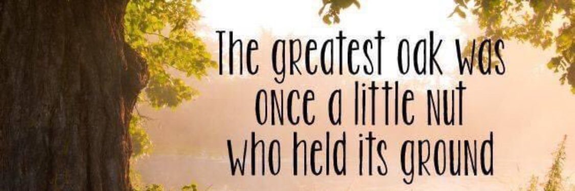 Shevron Houdhan-Roberts banner