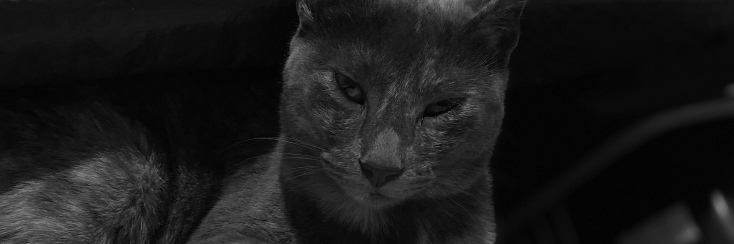 ffiioooooo's profile banner image