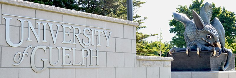 Research Innovation Office at UofG's banner