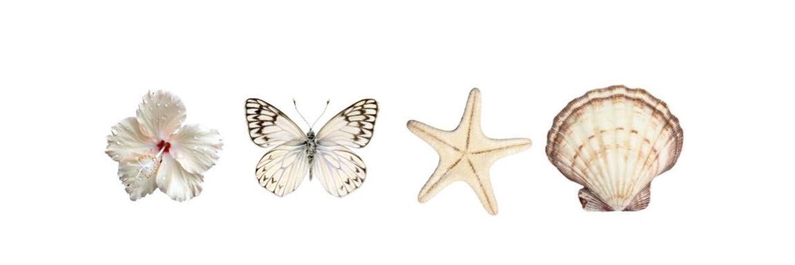 claudi🌸 banner